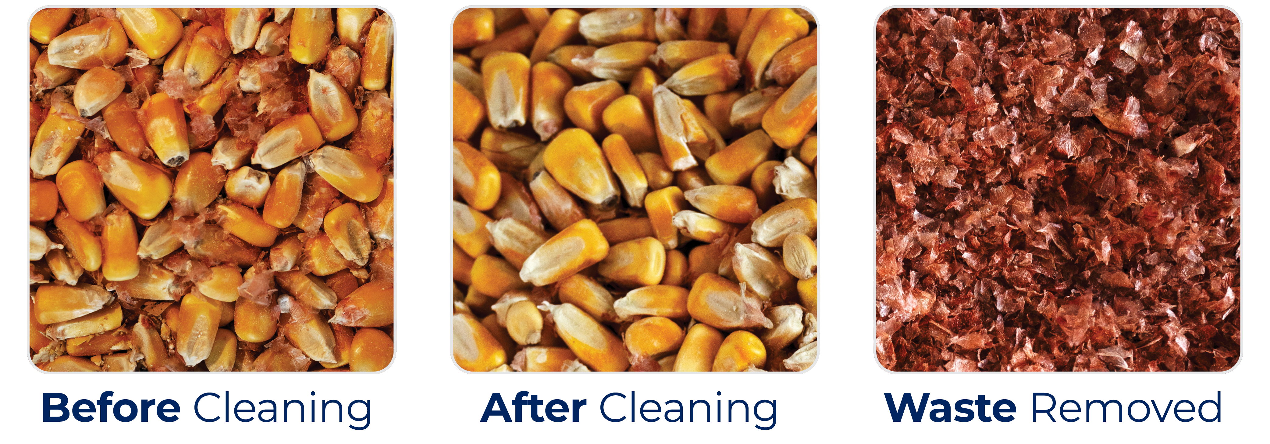 Dirty corn with caption "Before Cleaning"
Clean corn with caption "After Cleaning"
Red dog and fines removed from corn with caption "Waste Removed"