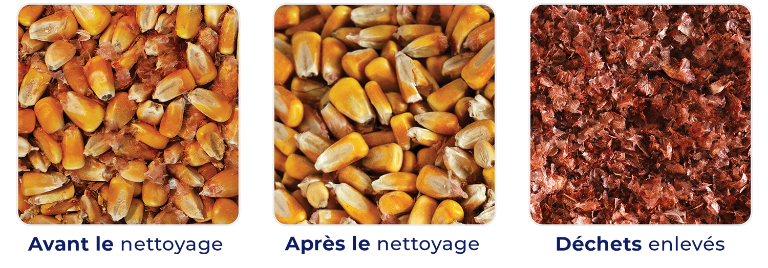 Maïs sale avec légende "Avant le nettoyage"
Maïs propre avec légende "Après le nettoyage"
Chien rouge et amendes enlevés du maïs avec légende "Déchets enlevés".