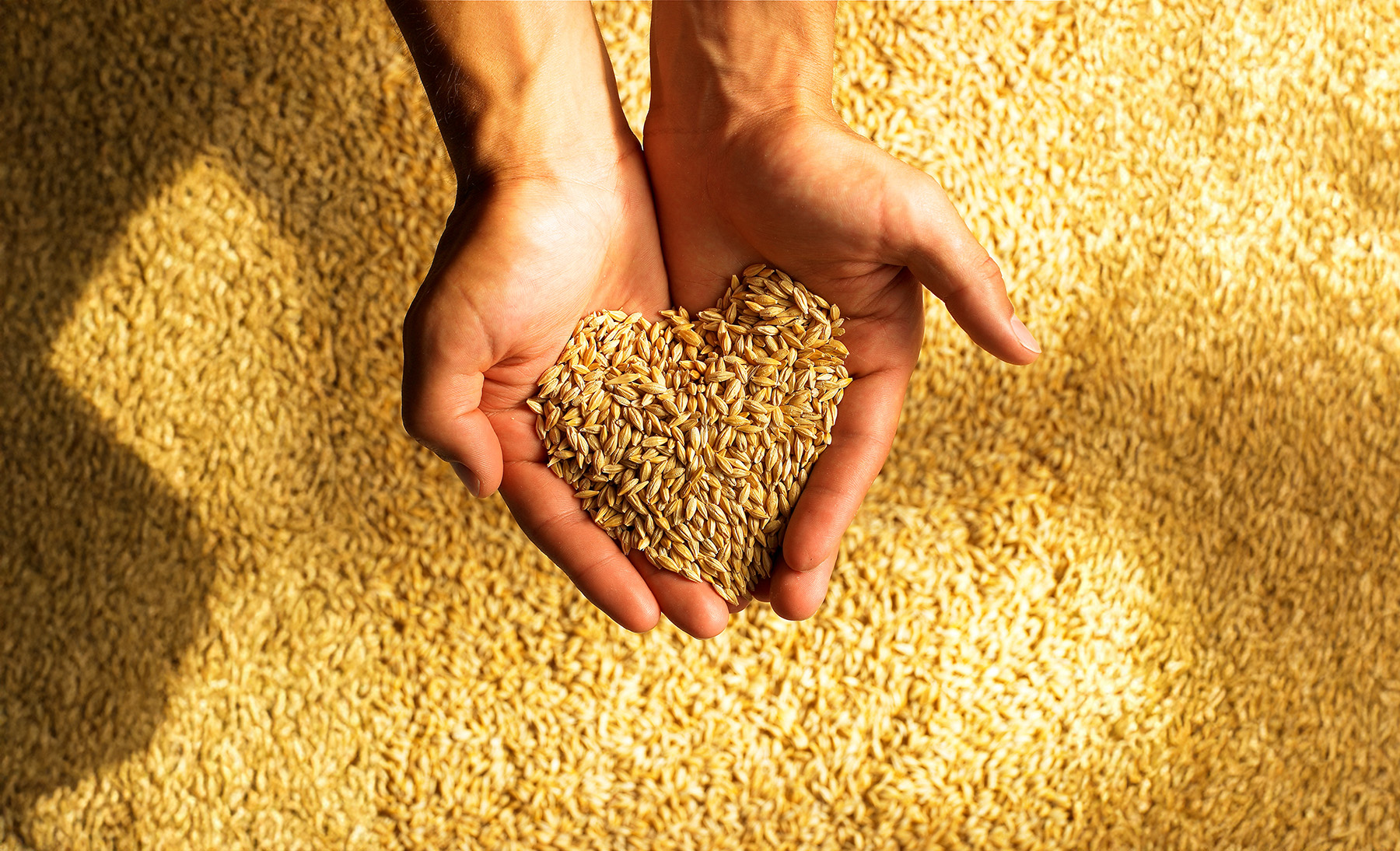 The Hidden Power of Clean Grain: Boost Quality, Profit, and Efficiency